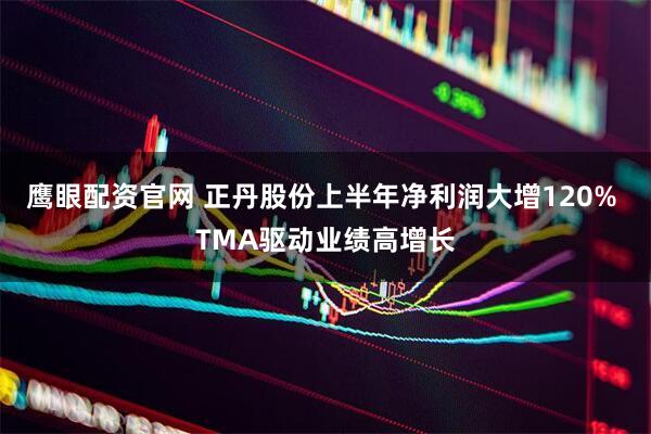 鹰眼配资官网 正丹股份上半年净利润大增120% TMA驱动业绩高增长