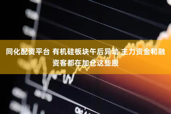 同化配资平台 有机硅板块午后异动 主力资金和融资客都在加仓这些股
