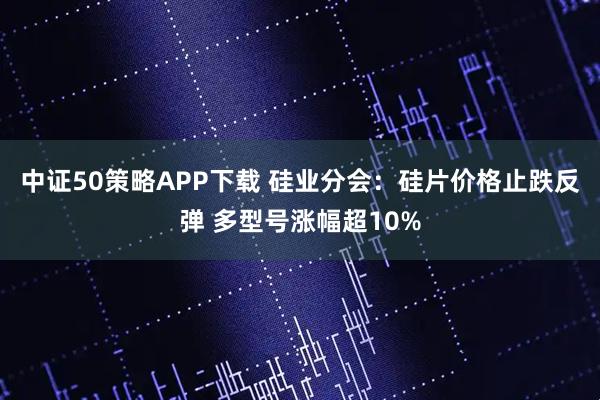 中证50策略APP下载 硅业分会：硅片价格止跌反弹 多型号涨幅超10%