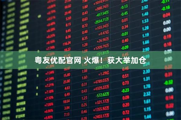 粤友优配官网 火爆！获大举加仓